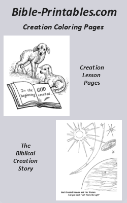 The Biblical Creation Story Coloring Pages